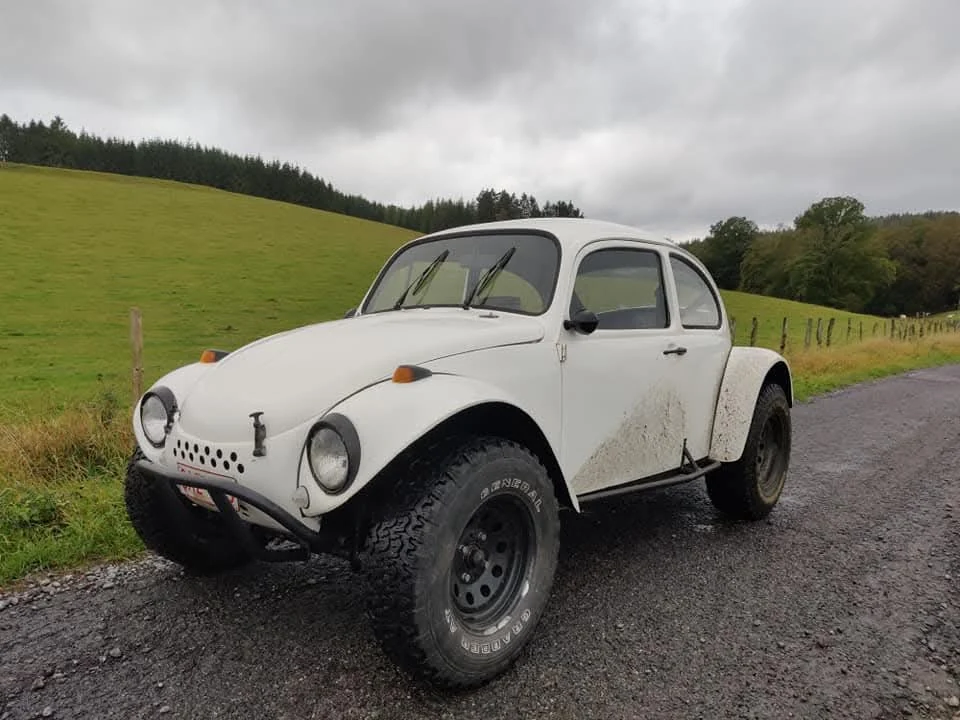 Coccinelle tout-terrain
