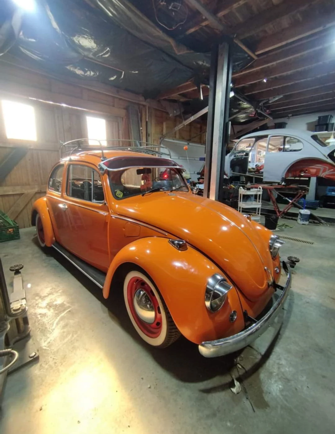 Coccinelle orange dans l’atelier