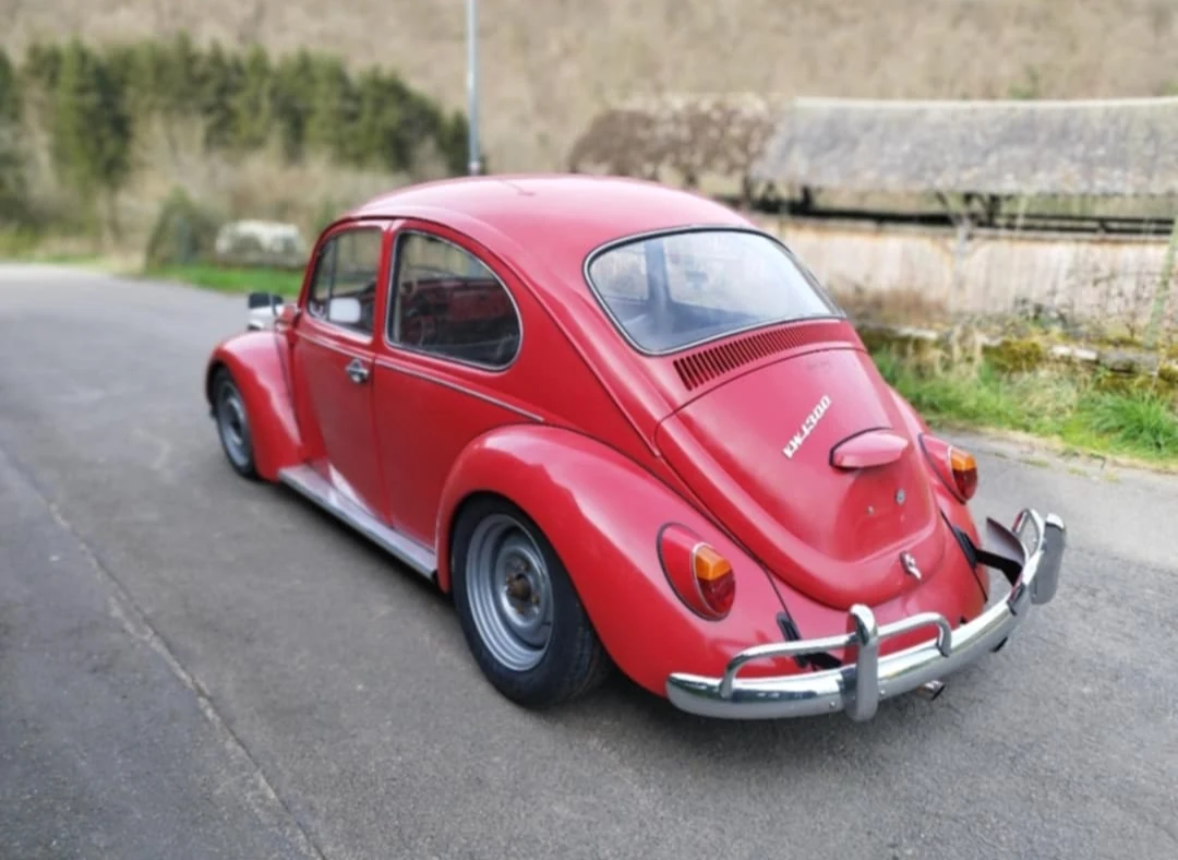 Coccinelle rouge, vue arrière